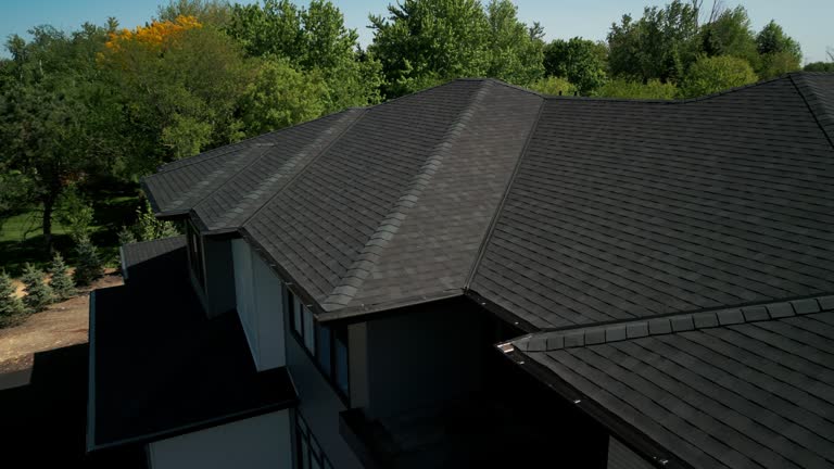 Best Roof Moss and Algae Removal  in Northfield, IL