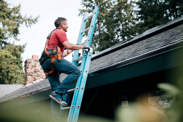 Best Gutter Installation and Repair  in Northfield, IL